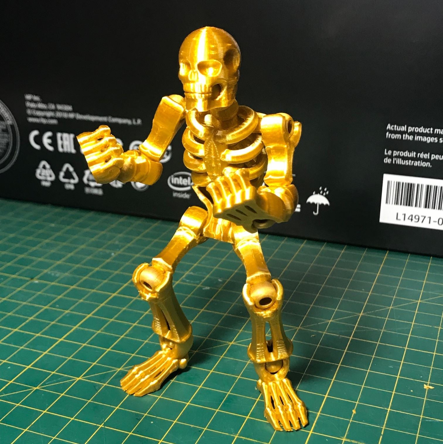 Skeleton - TinkerCad kit