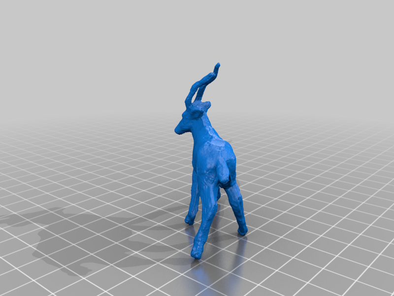 antelope (scan)