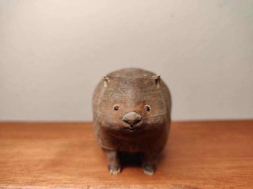 Common Wombat (Vombatus ursinus)