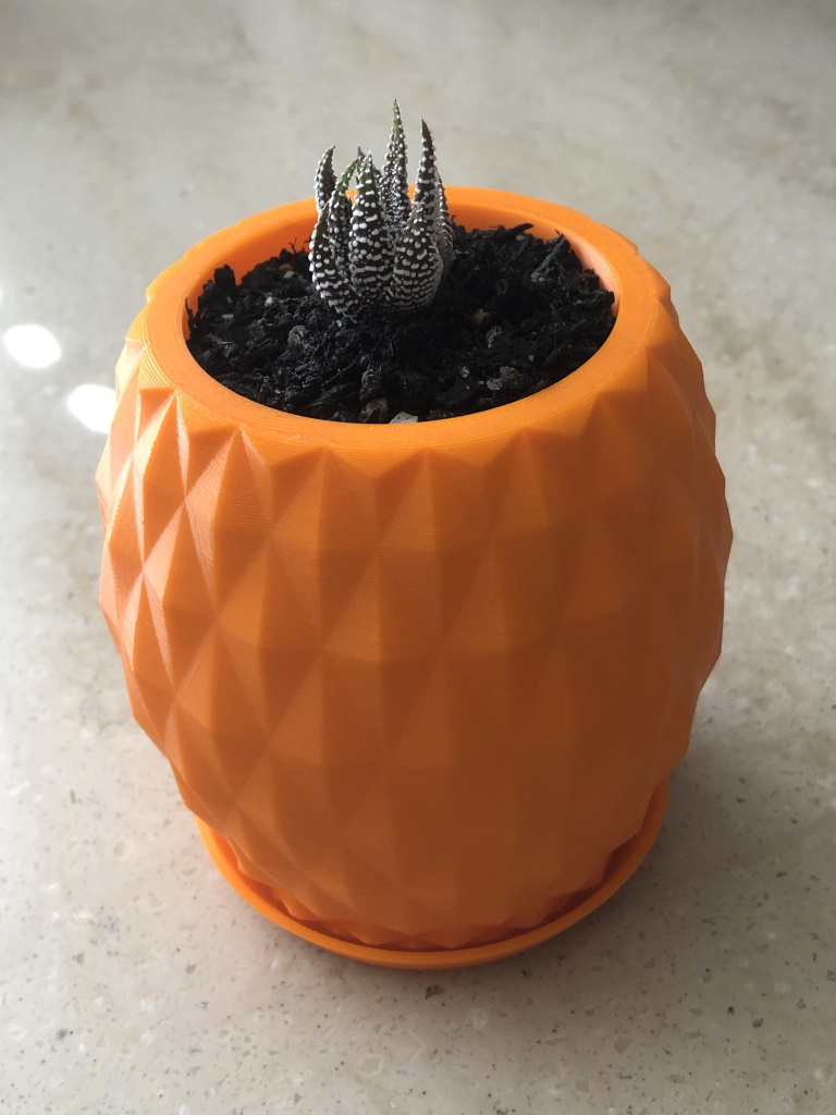 Pineapple Pot with Drainage Holes and Tray