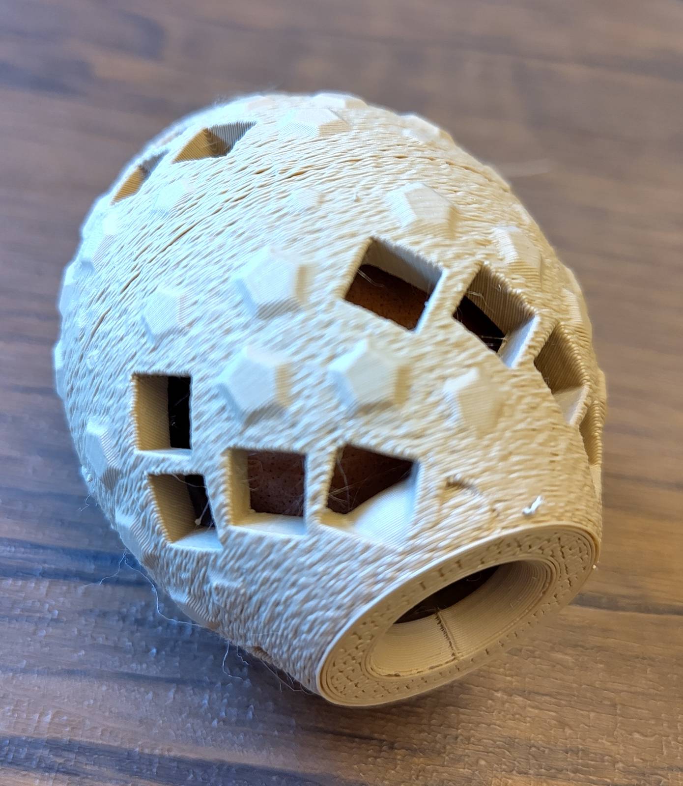 Egg holder/carrier/case