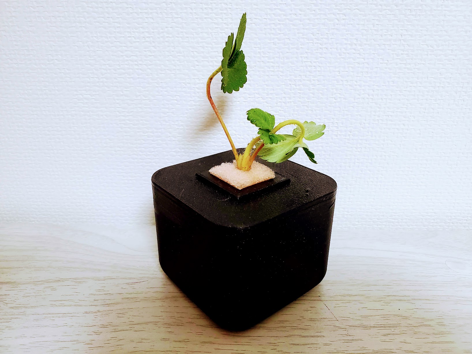 S (Small hydroponic planter)