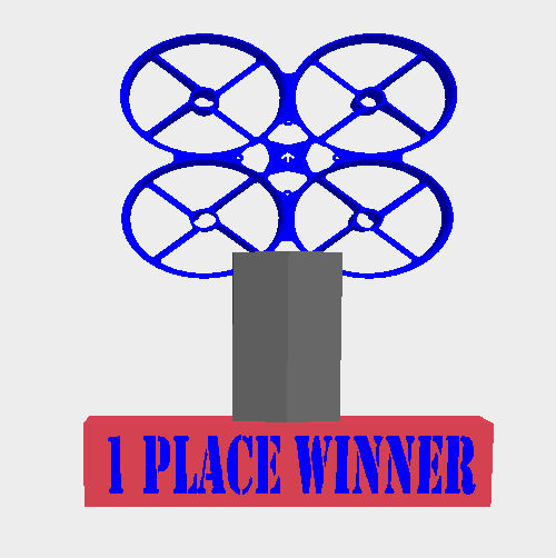 Tiny Whoop Trophy - First Place