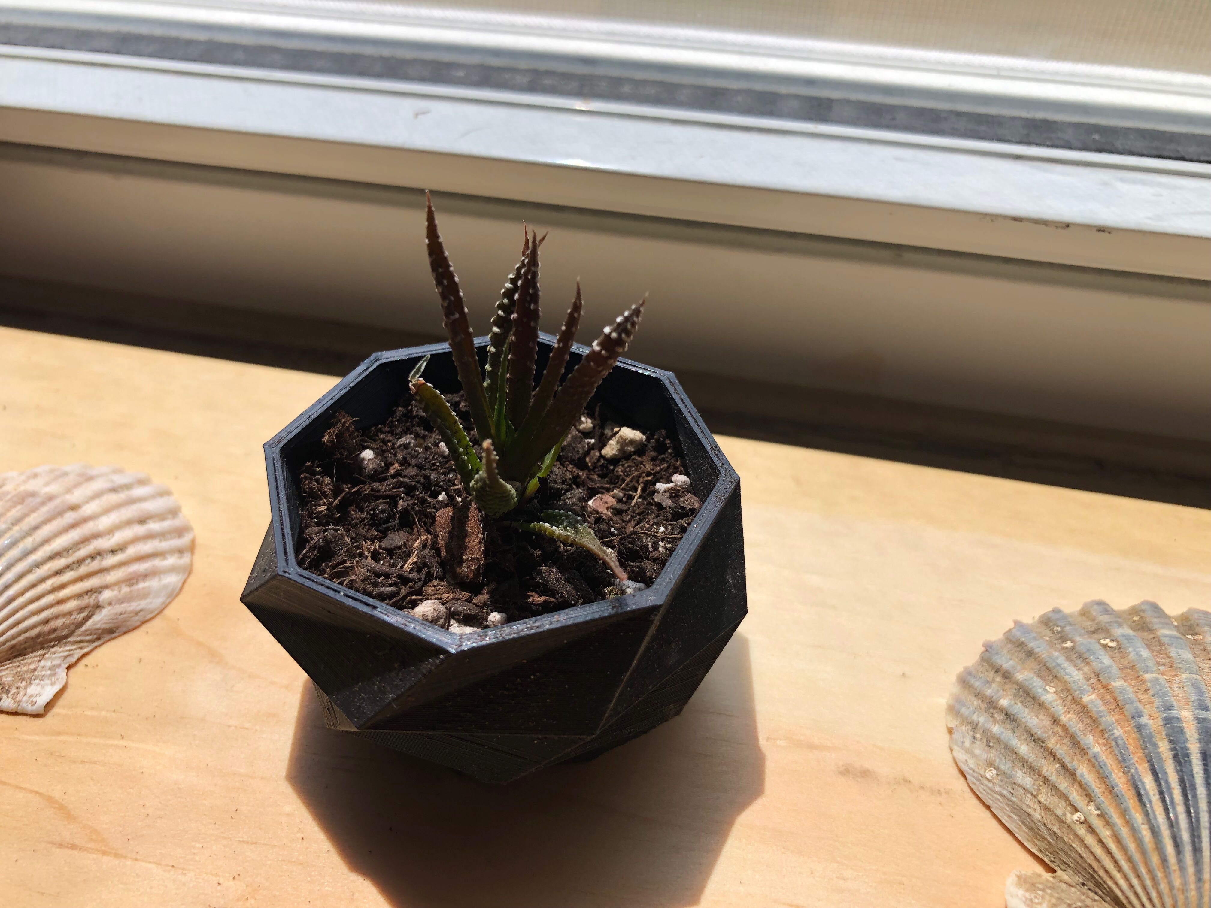 Mini planter with drain hole