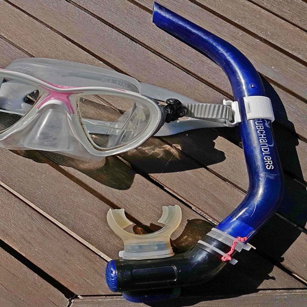 Clip Masque Tuba / Snorkel clip for Mask 