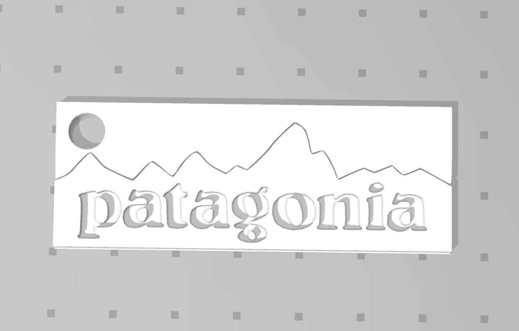 Patagonia Keychain