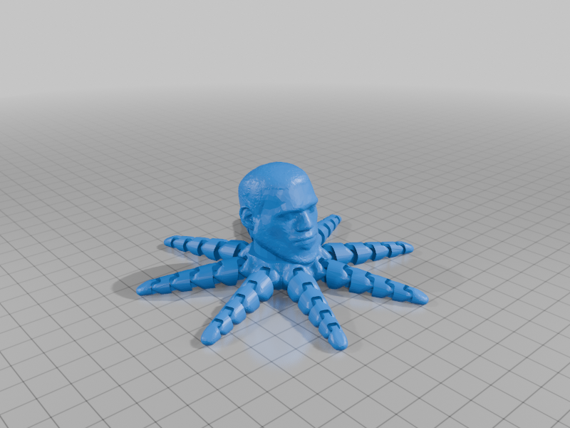 lebron James octopus