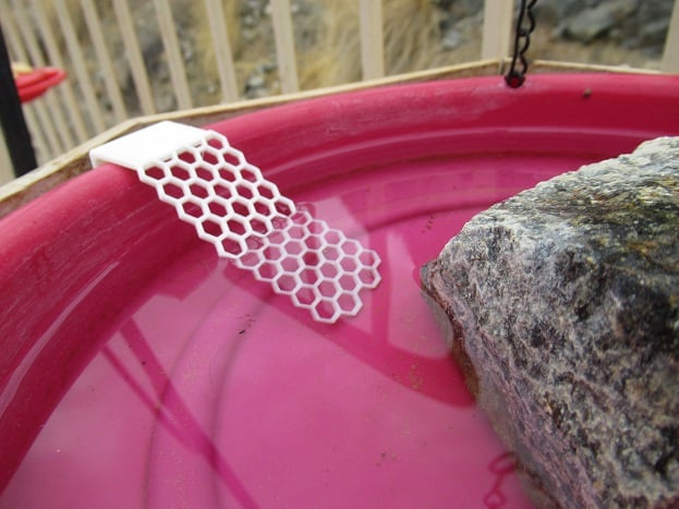 Bee Water Bowl Ladder