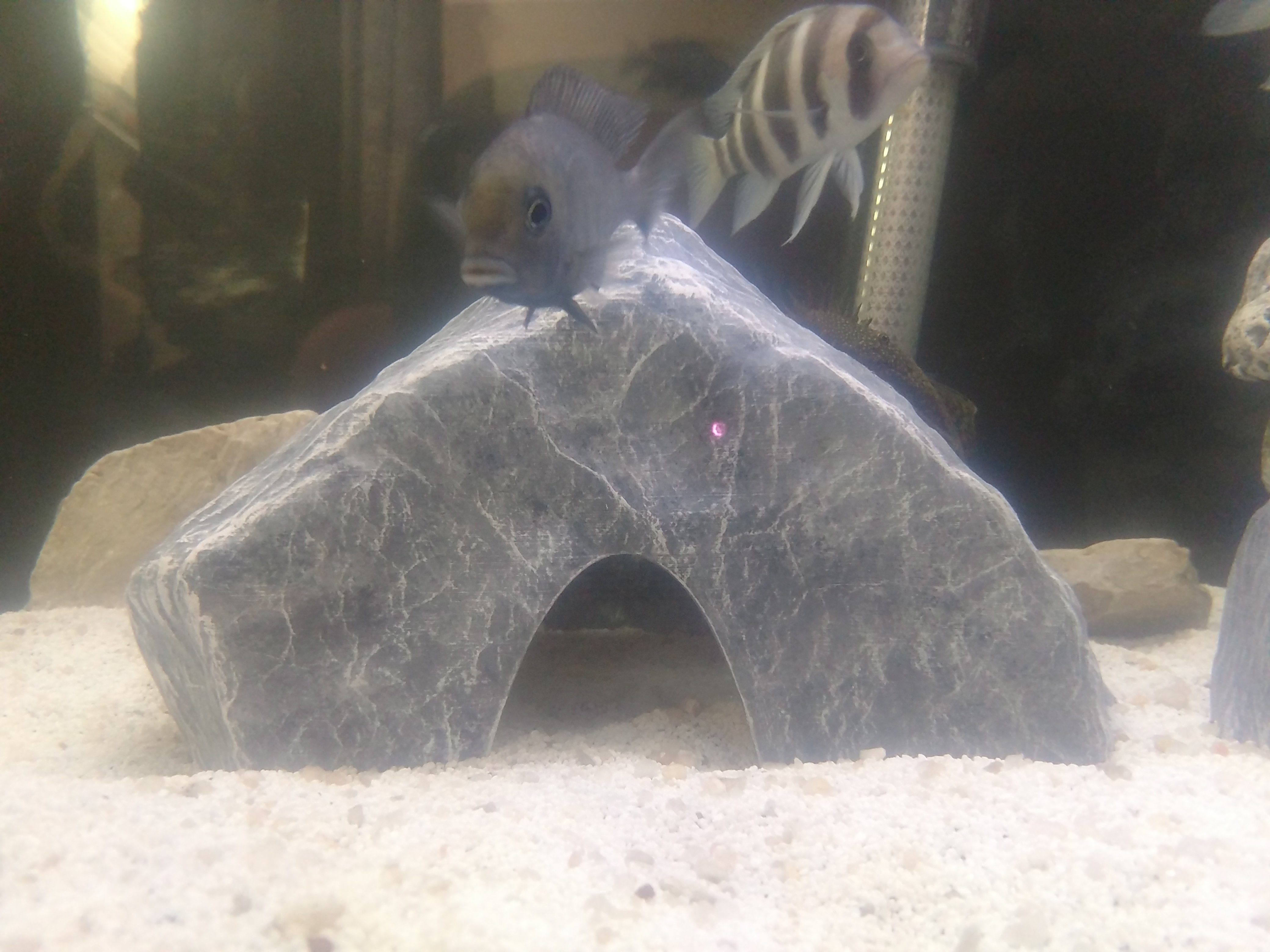 Aquarium Decoration - Textured Rock Cave (cubic) - Large