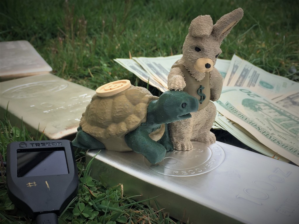Tortoise Bitcoin vs Hare Dollar