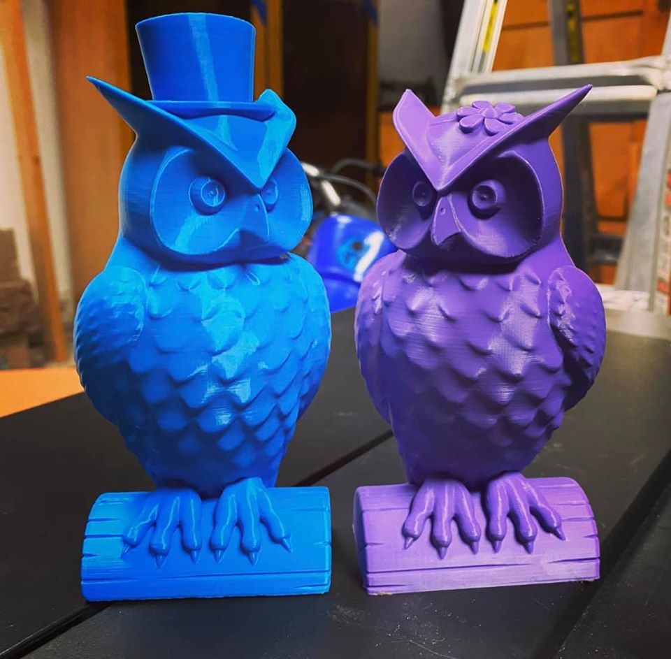 Owl Couple