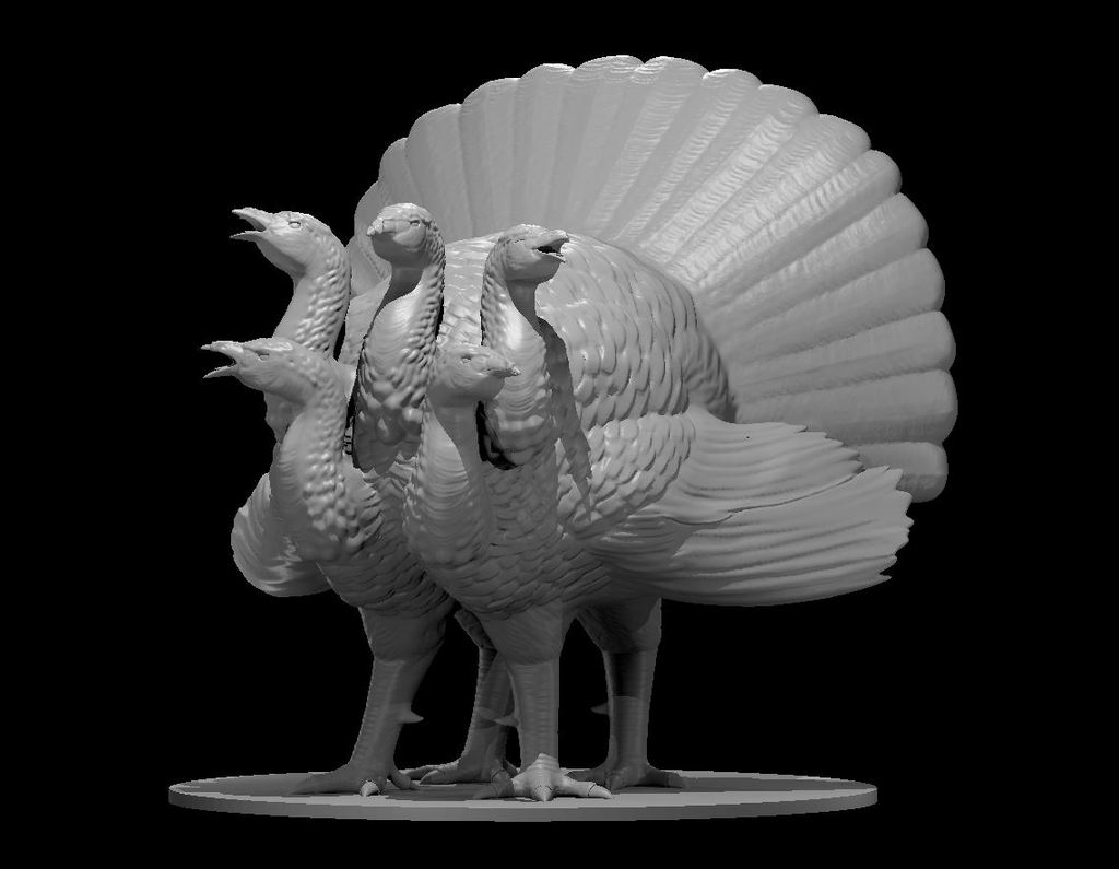 Turkey Hydra 3D model
