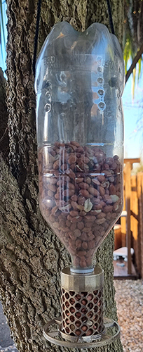 Peanut bird feeder for plastic bottles
