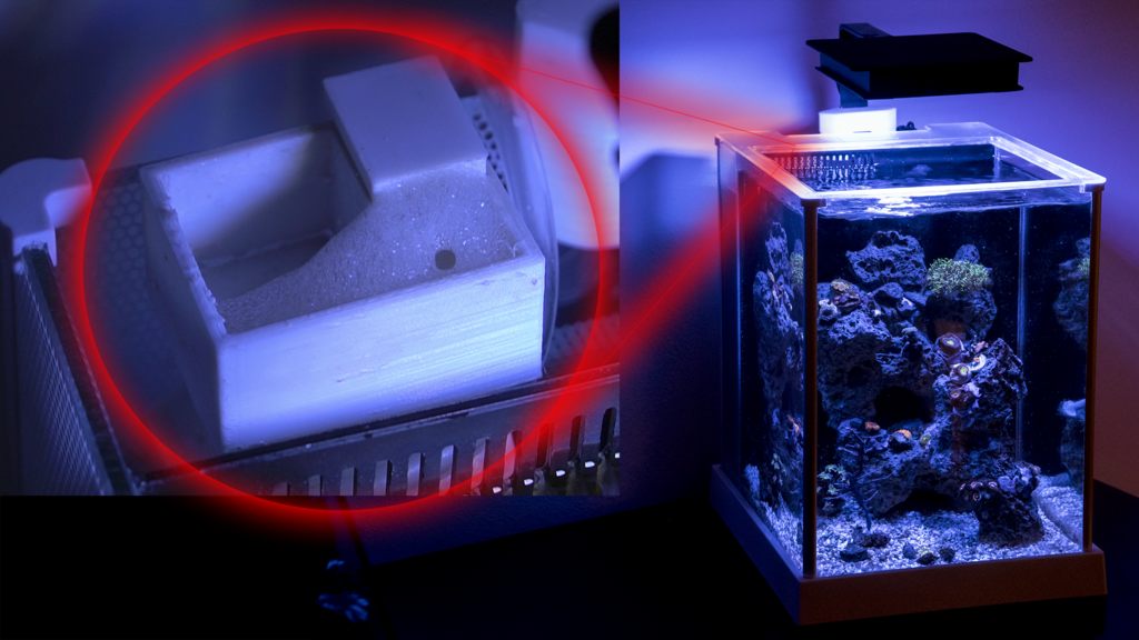 Fluval Spec 3 with marine nano LED