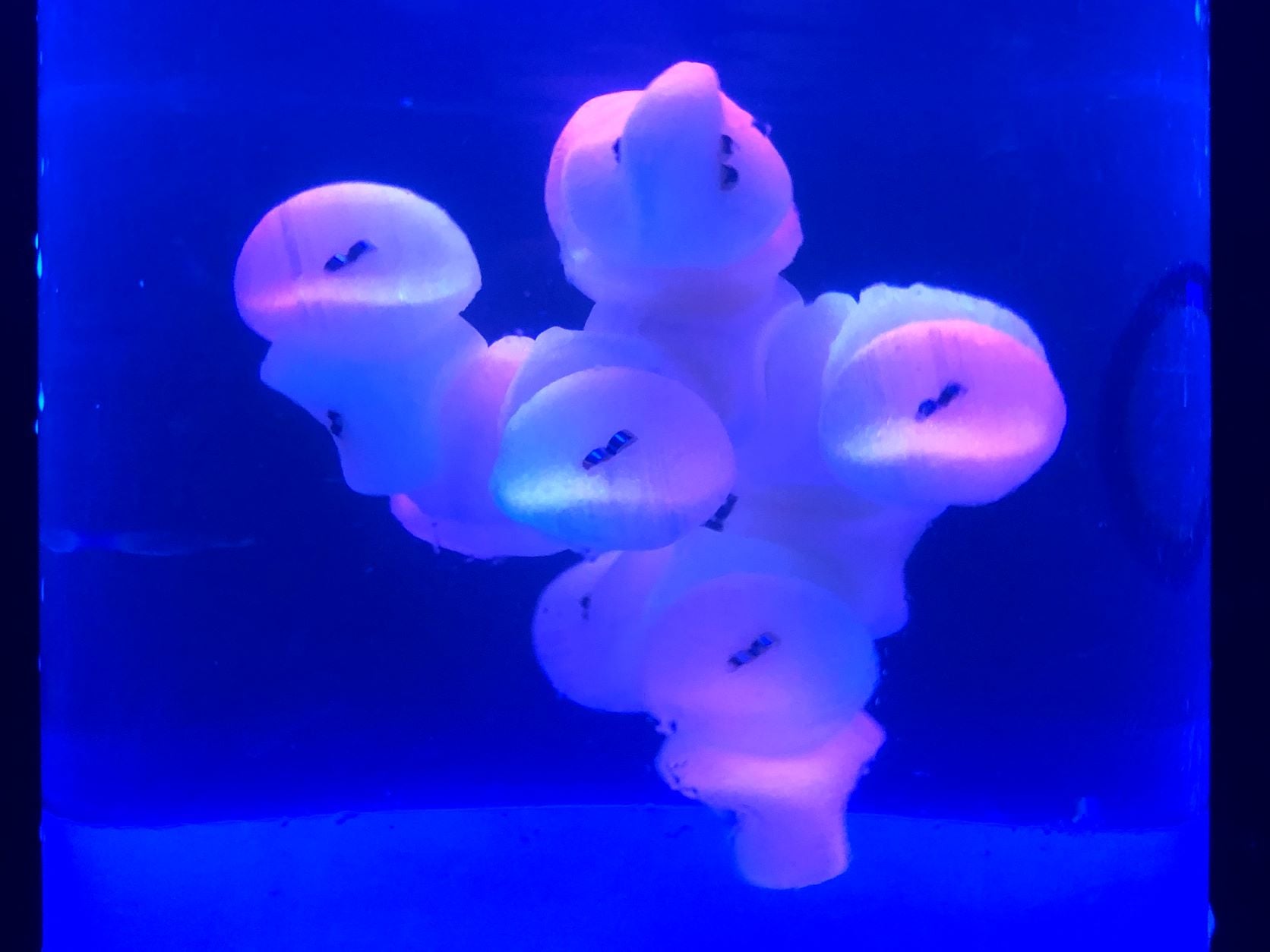 3D Printed Self-Assembling Cells