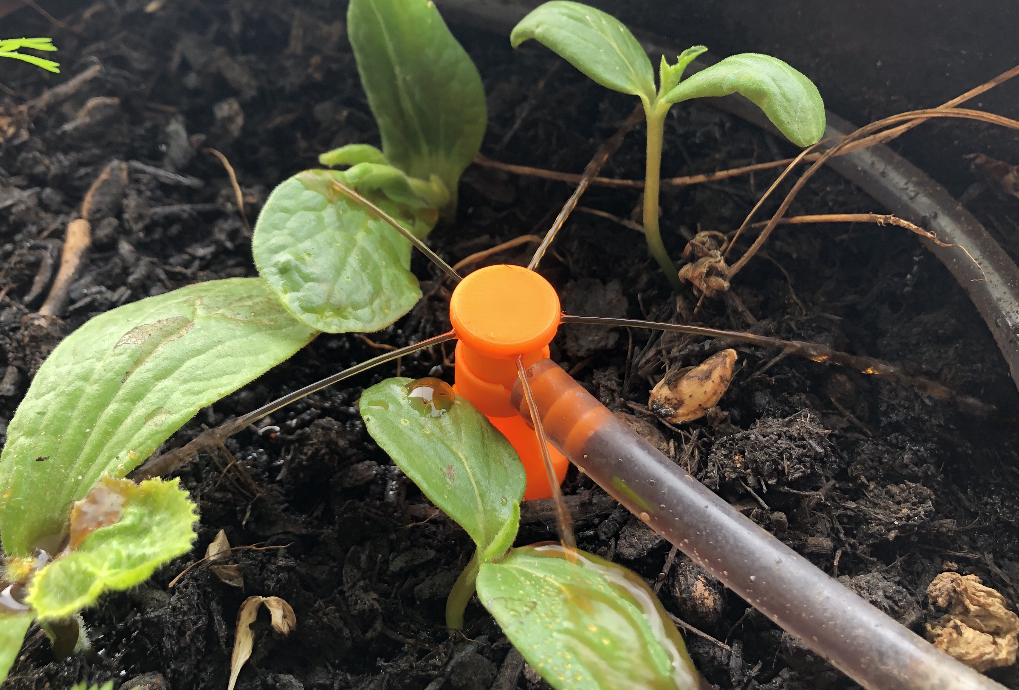 Raised Bed Sprinkler