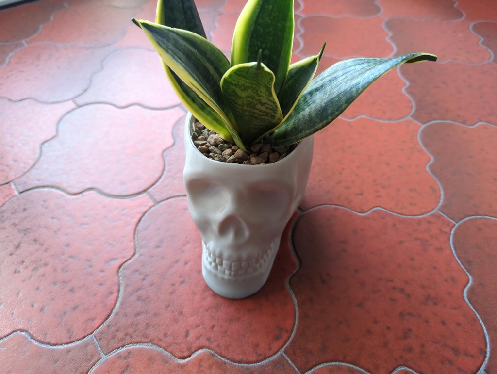 Skull Vase to Skull Planter mod kit