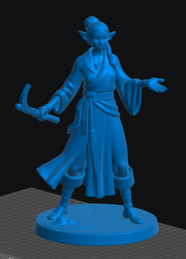 Elf Monk Female 4