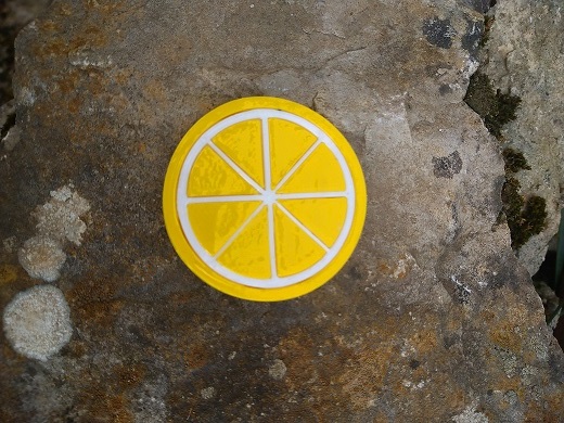 Lemon slice