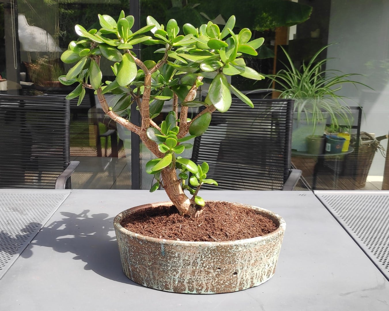Bonsai pot mould for concrete/cement