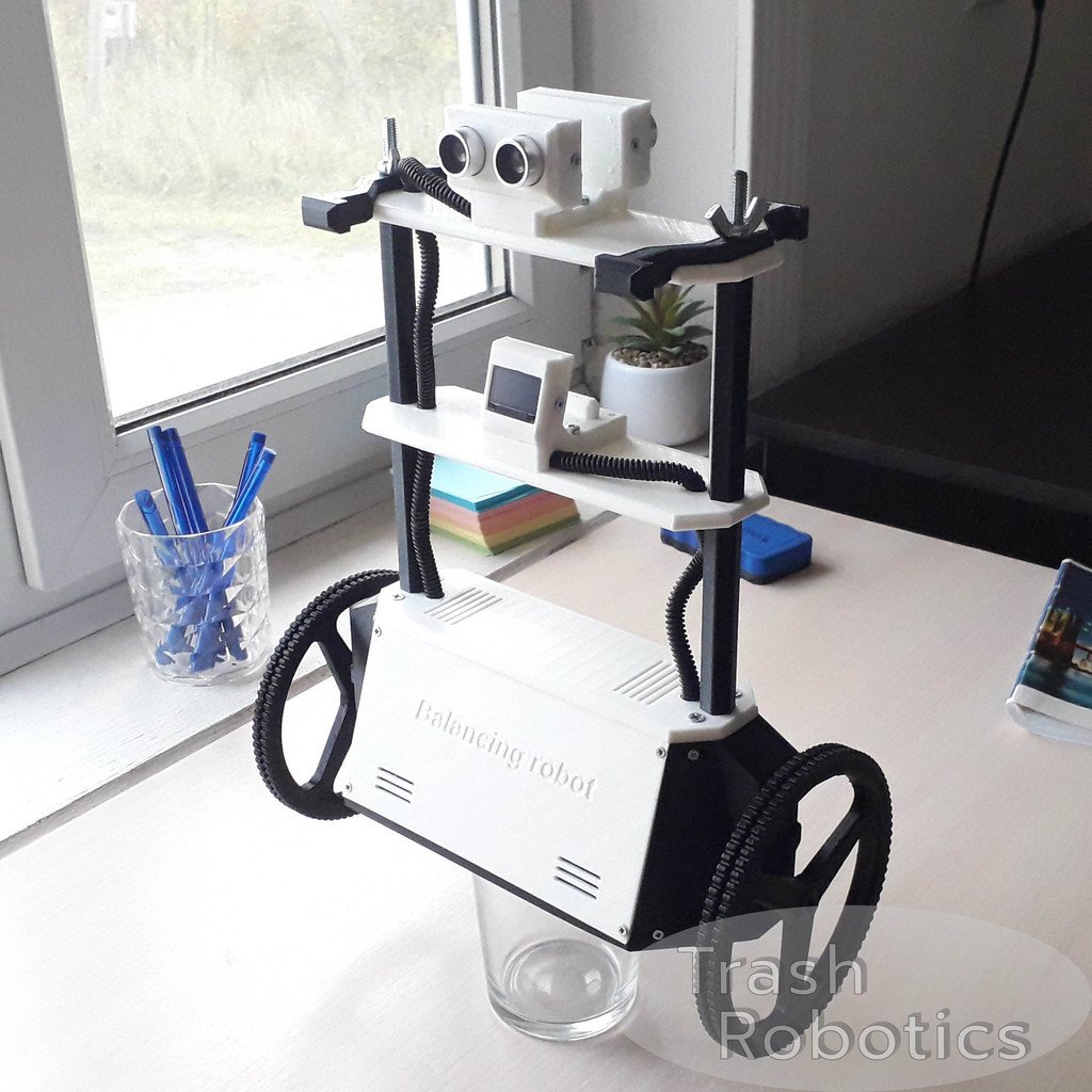 DIY self-balancing robot with browser control for fun