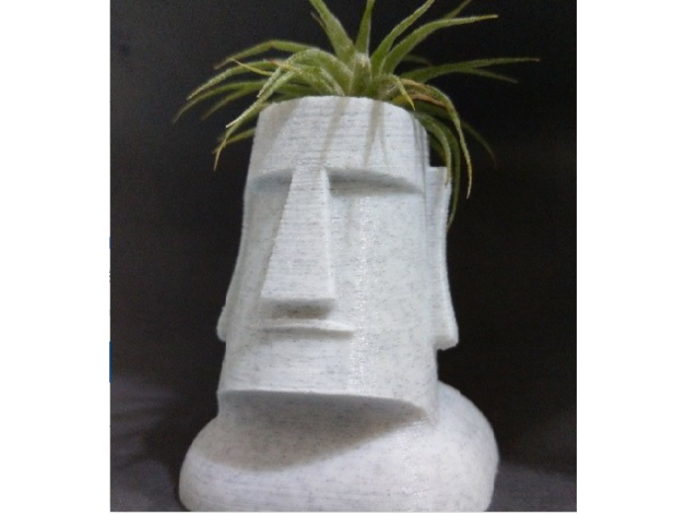 Moai Plant