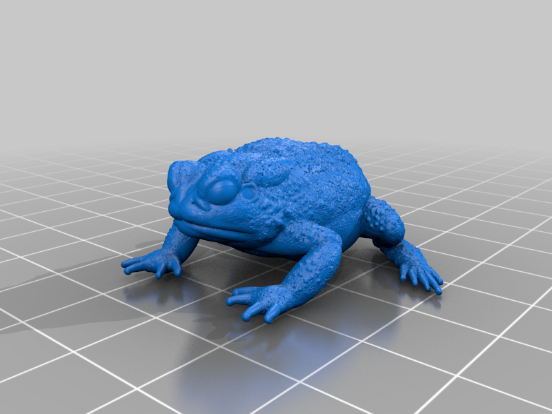 Resting Toad