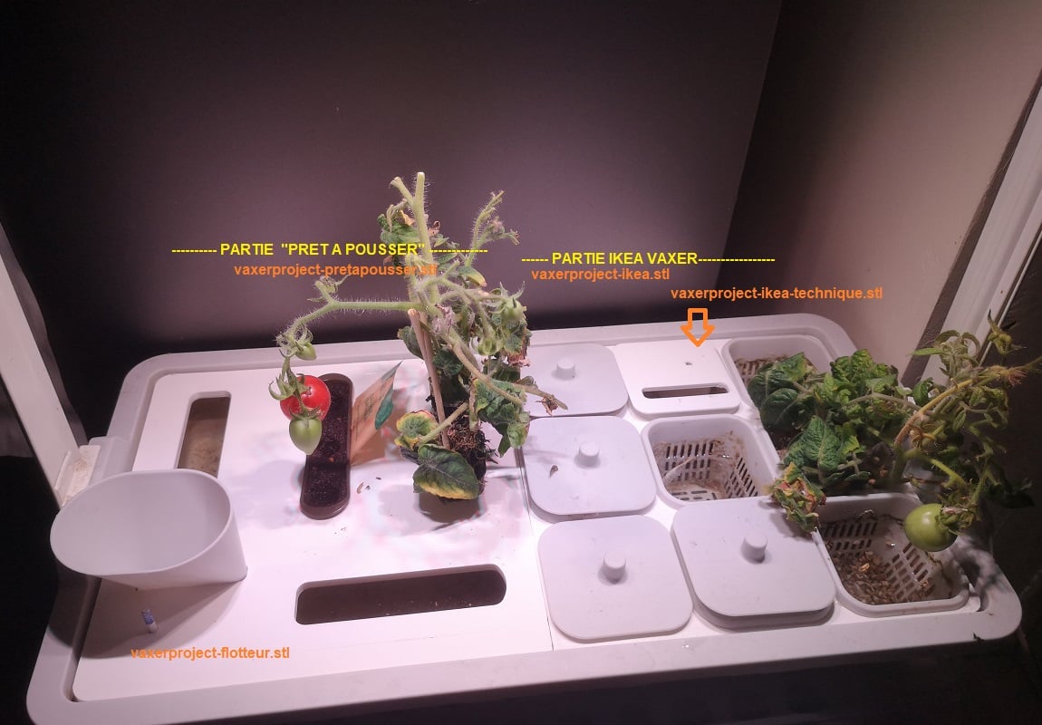 Vaxer Project (hydroponic) 