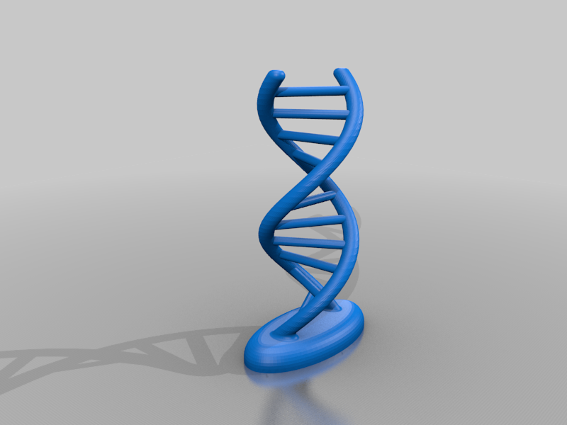 DNA  model with baseplate