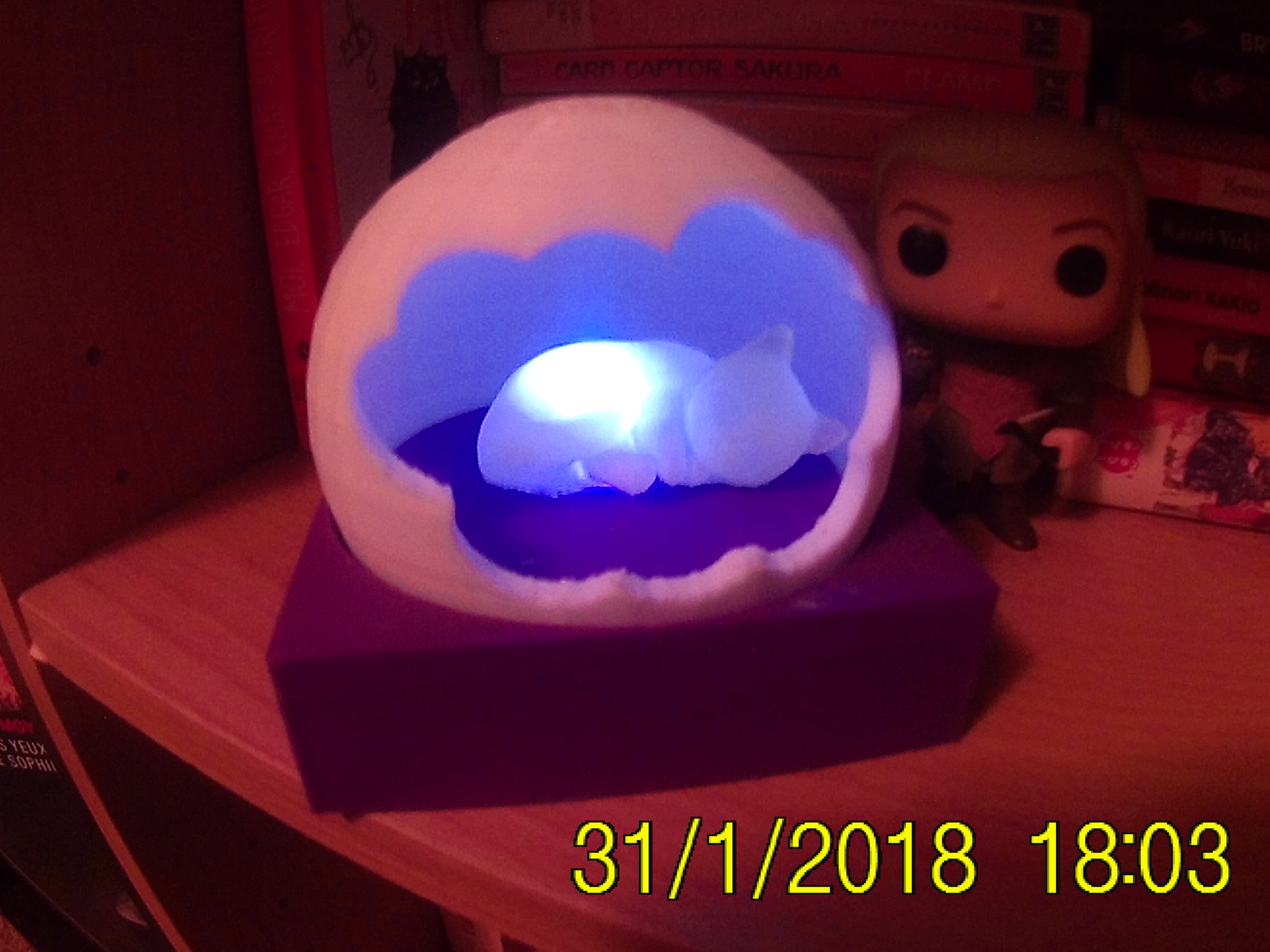 Cat in the ball