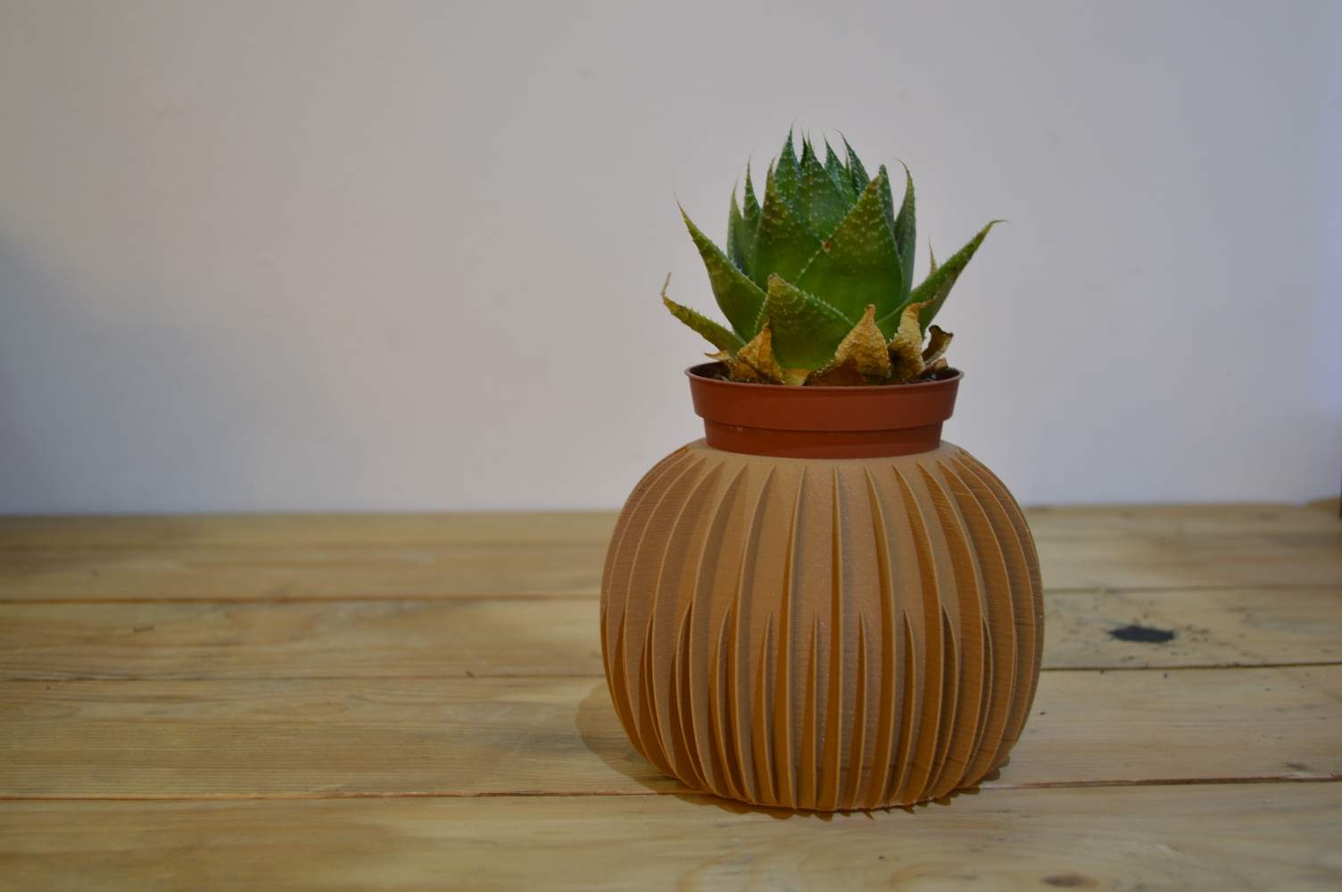 Cactus Vase