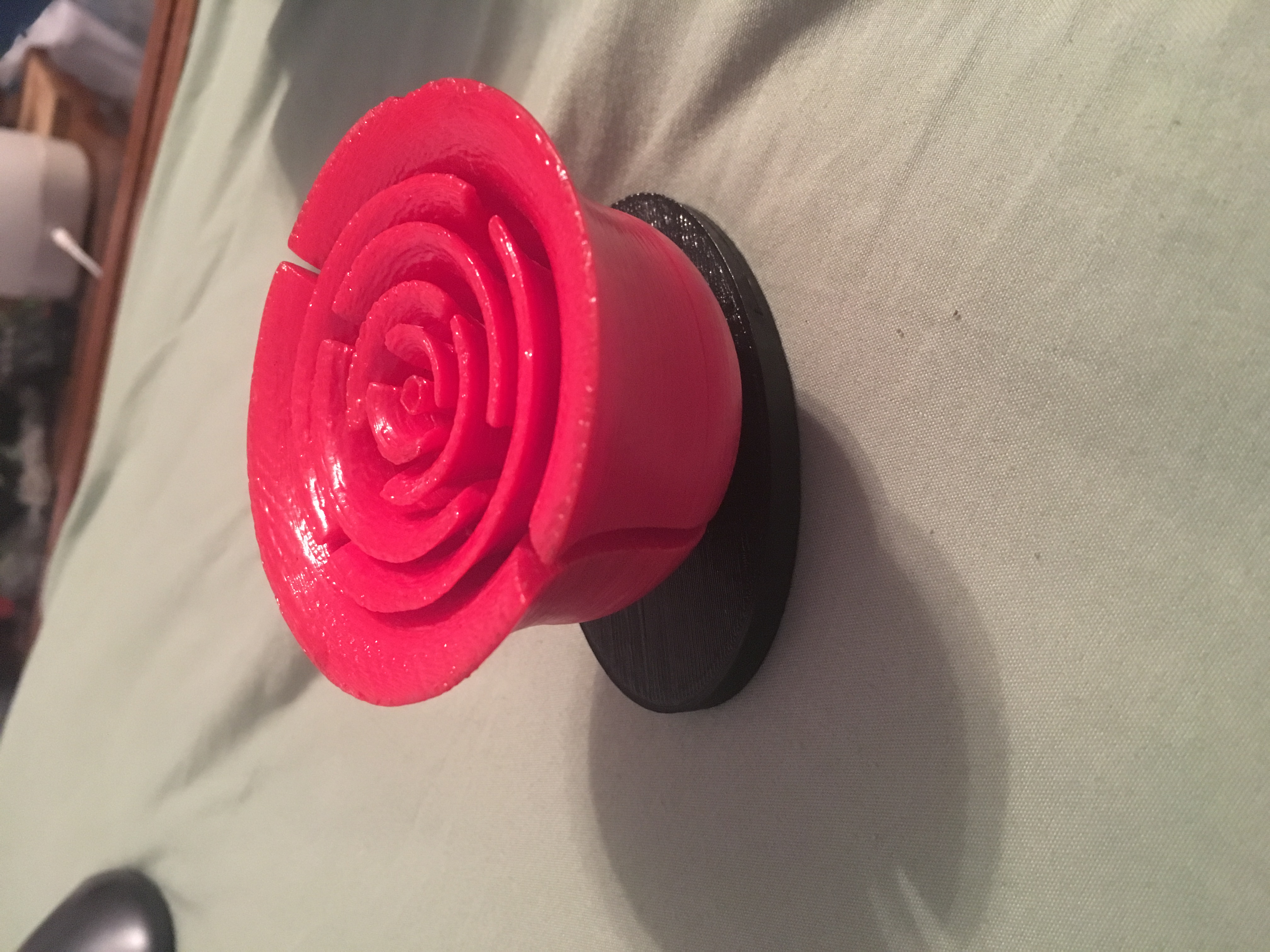 Valentine's rose