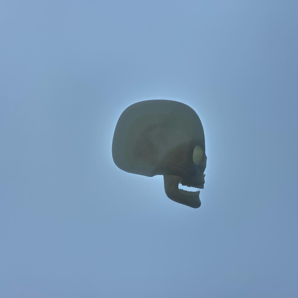 Skull Half