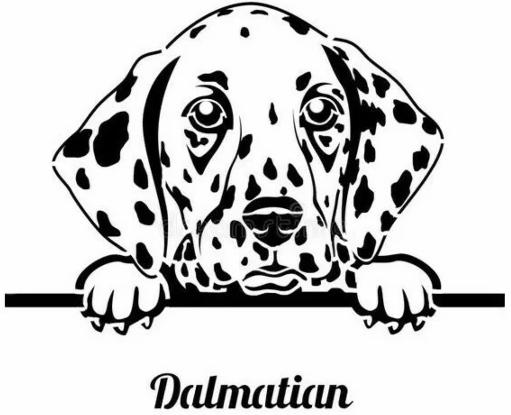 Dalmation stencil