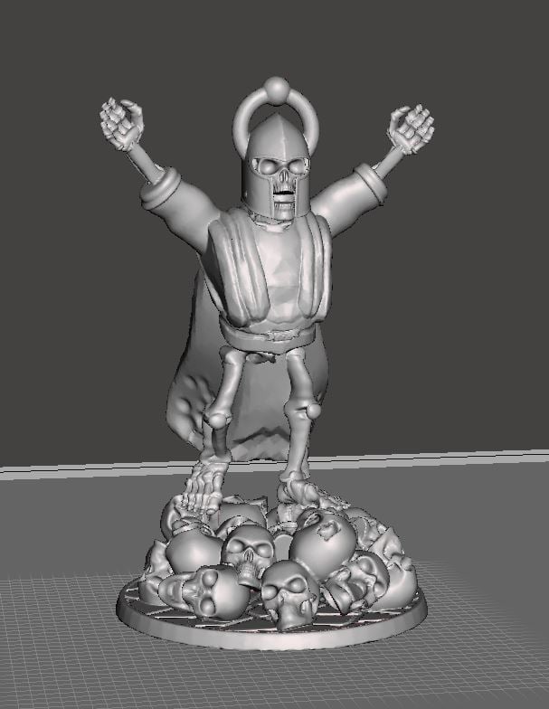28mm Skeleton Warrior Sorcerer / Wizard
