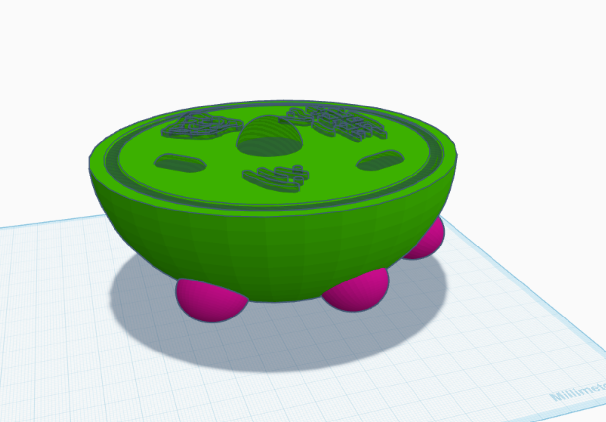 skin cell model