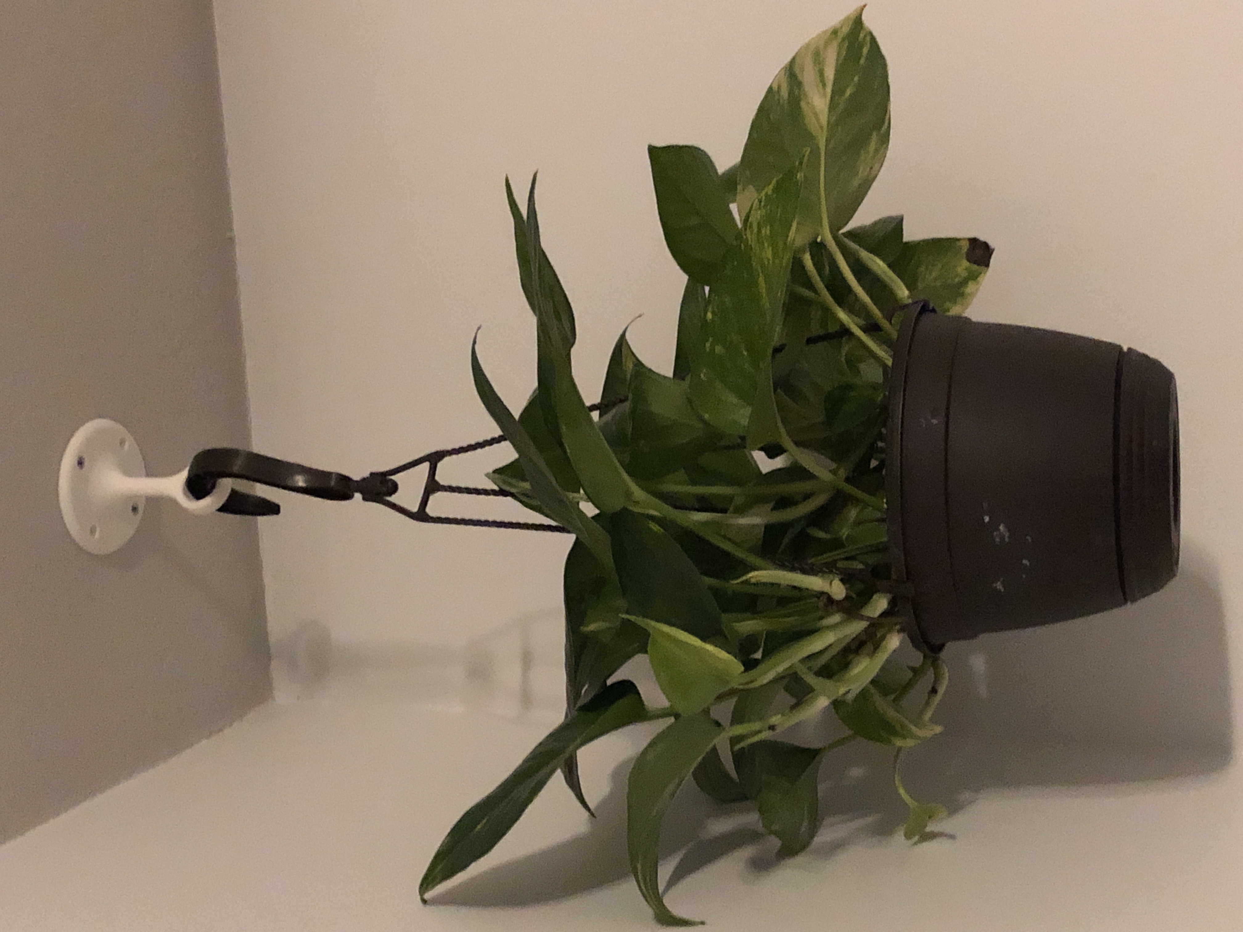 Heavy Duty Ceiling Hook/Hanger