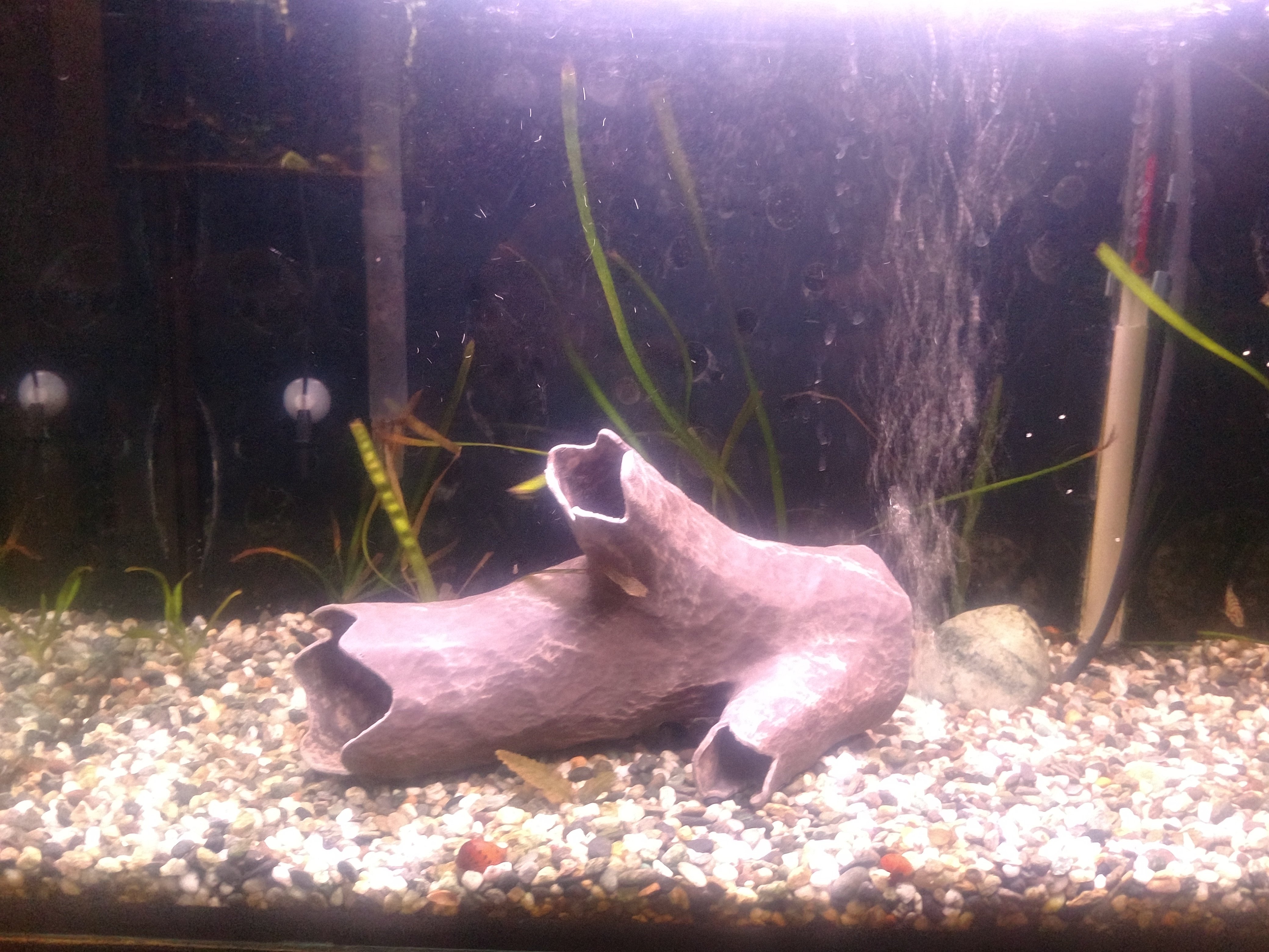 Aquarium Decoration - Wood Textured Branching Stick Cave - Large