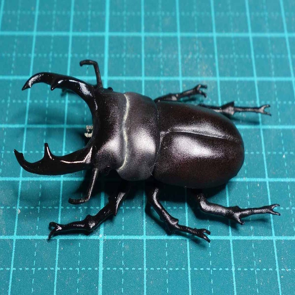 Tiny stag beetle (Dorcus rectus)