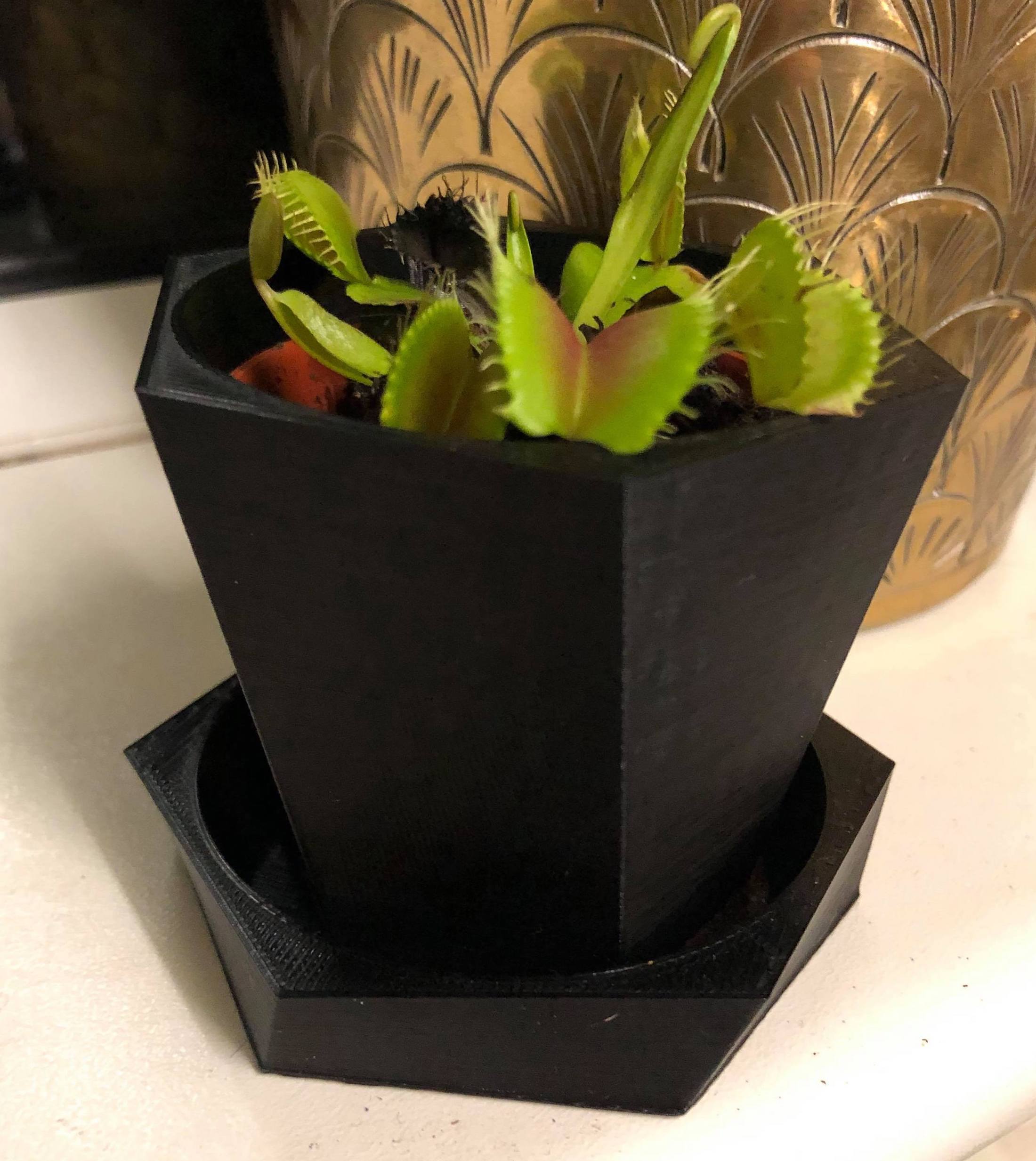 Twisted Hexagonal Planter