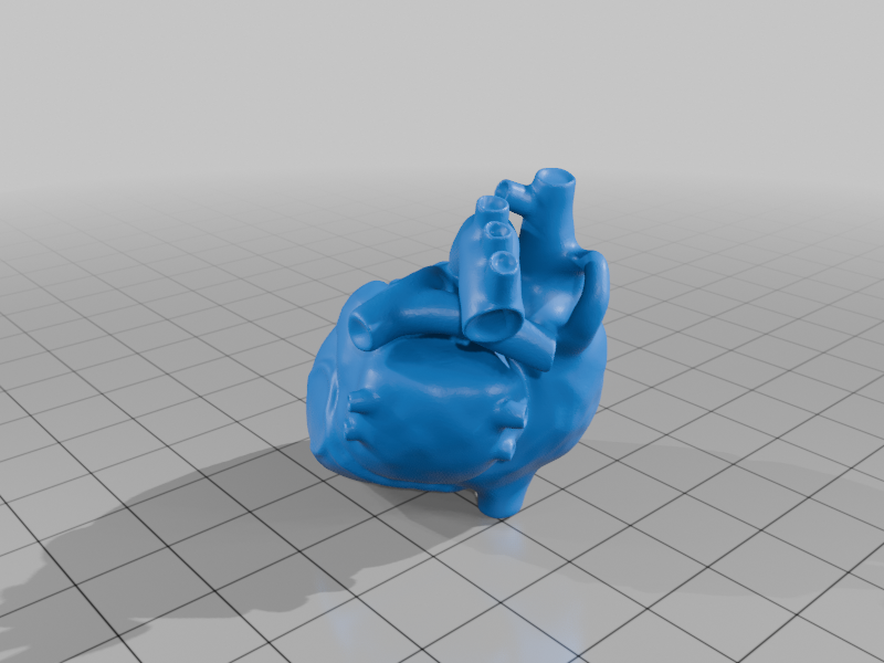 anatomical heart keychain lower poly