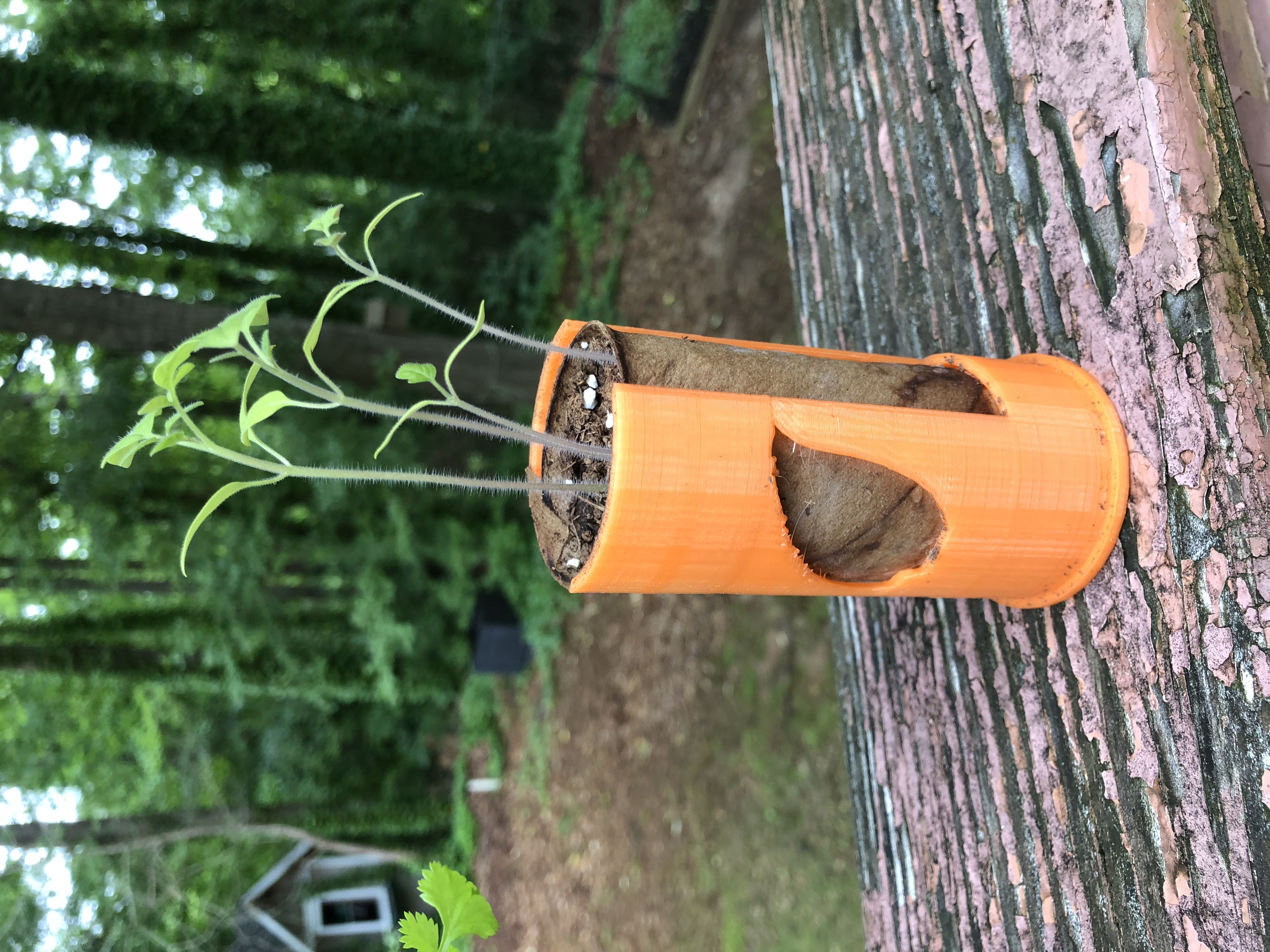 Seed Starter