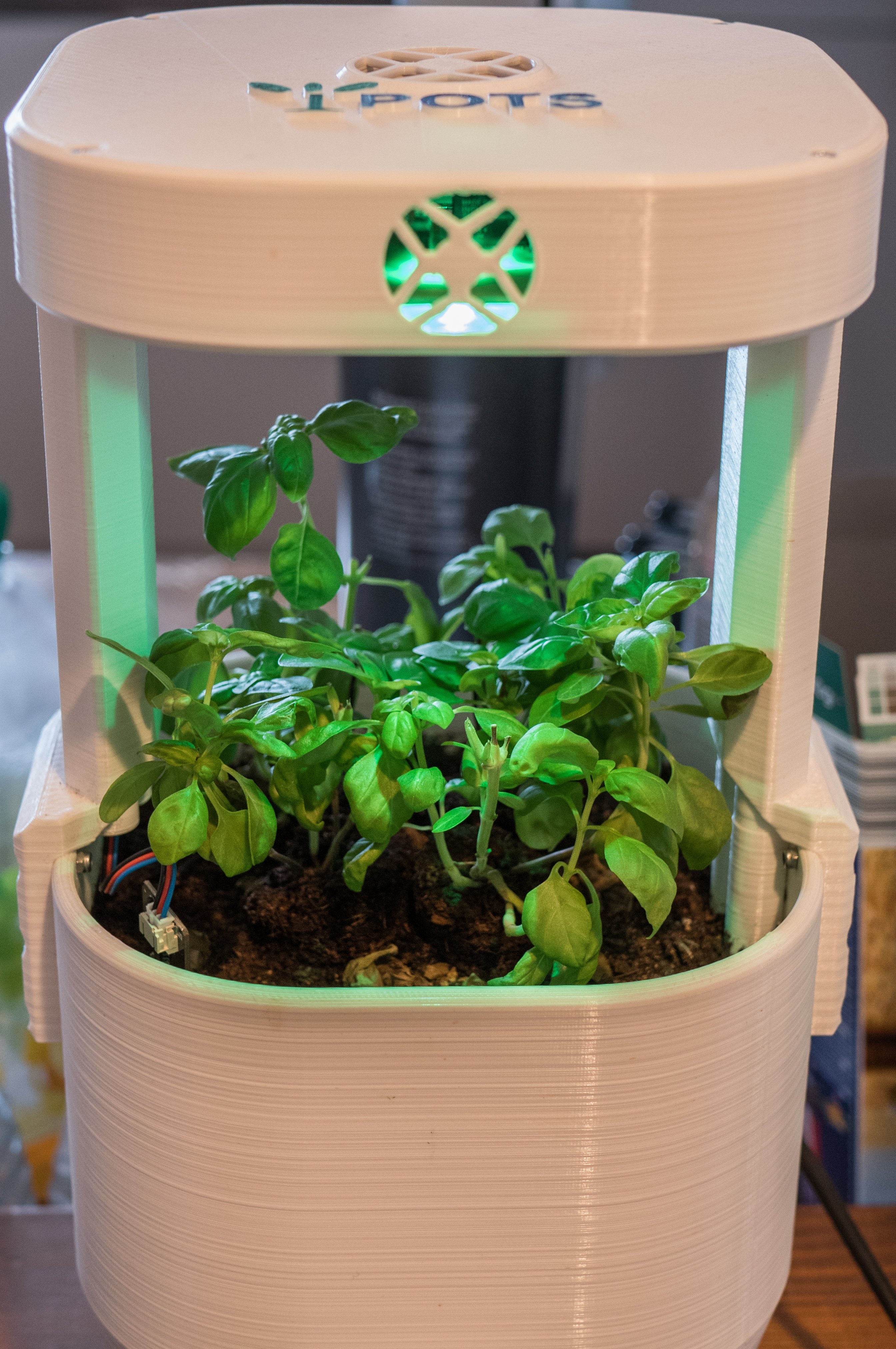 I Pots Sefl Wathering and growing pots