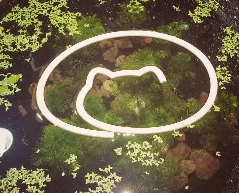 Aquarium feeding ring ver