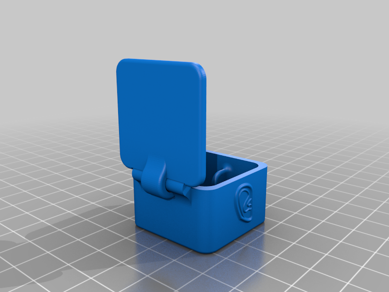 Earplug Case