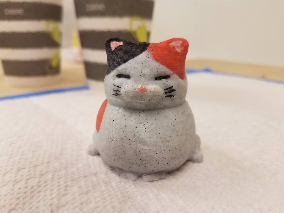 Fat Calico Cat