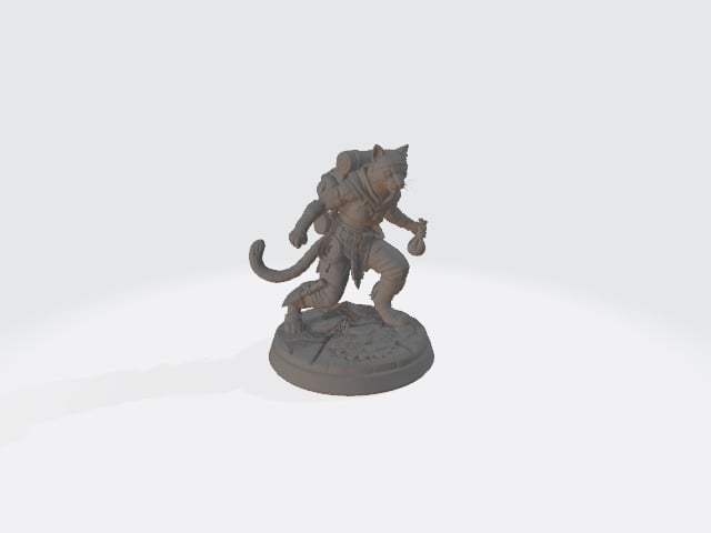 Cat Folk Thief