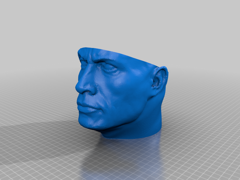 Dwayne "the Pot" Johnson Head Planter