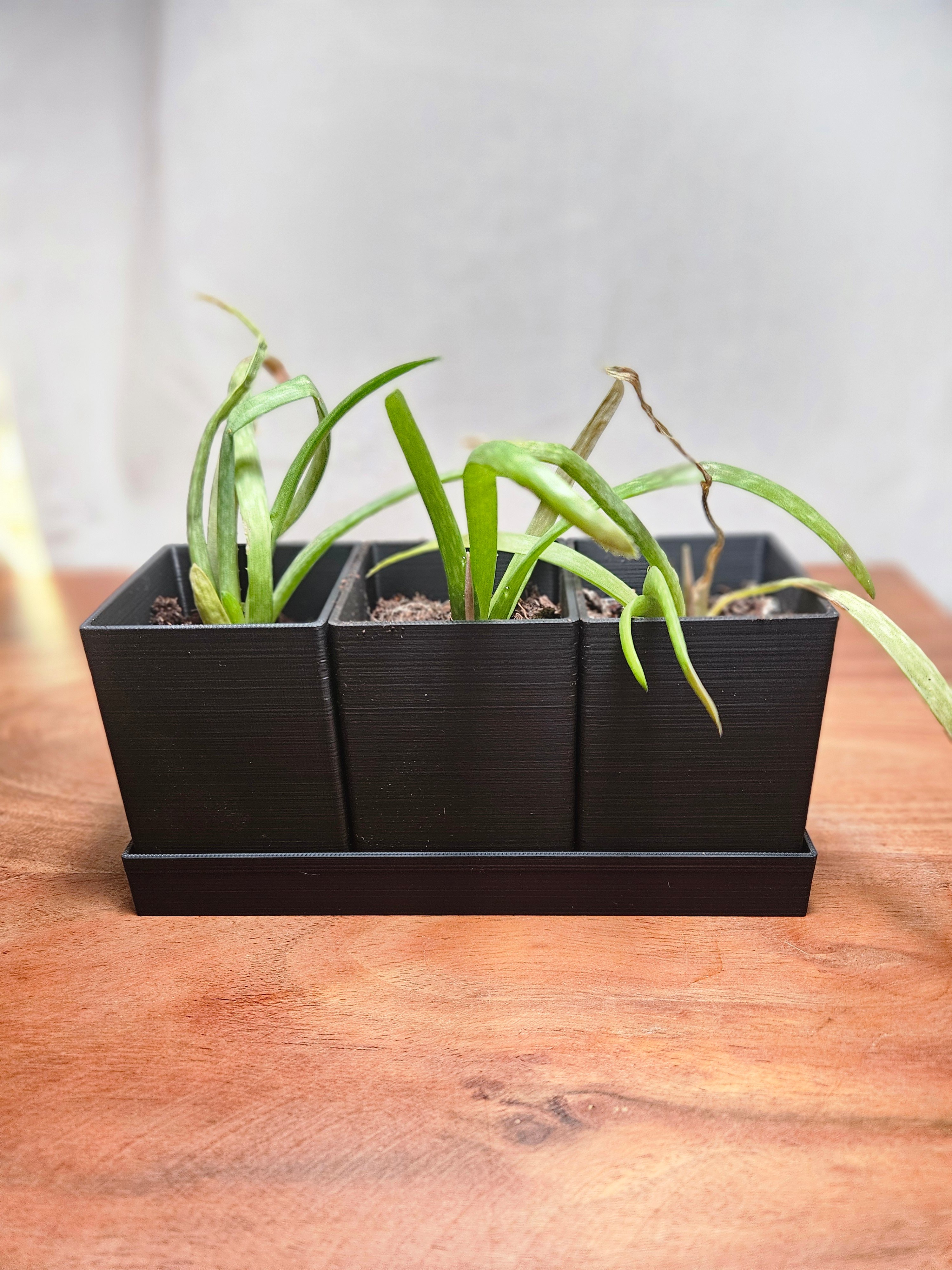 Modular 3 Piece Indoor Planter With Drain Base