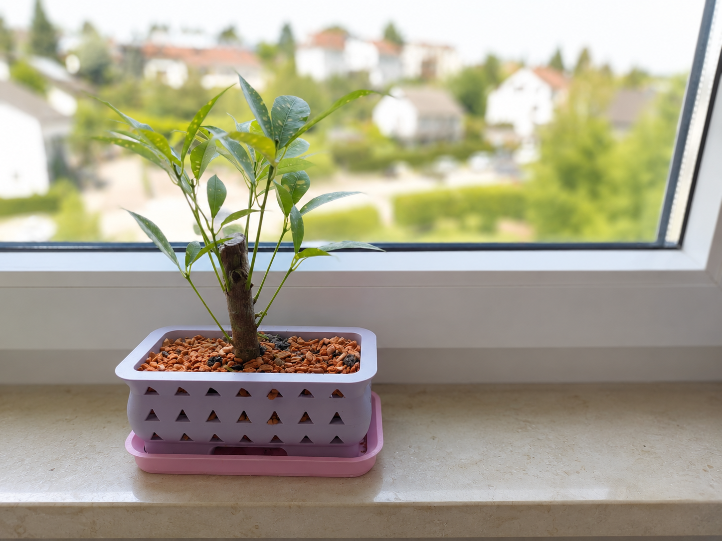Bonsai Vase – Air Pruning Planter